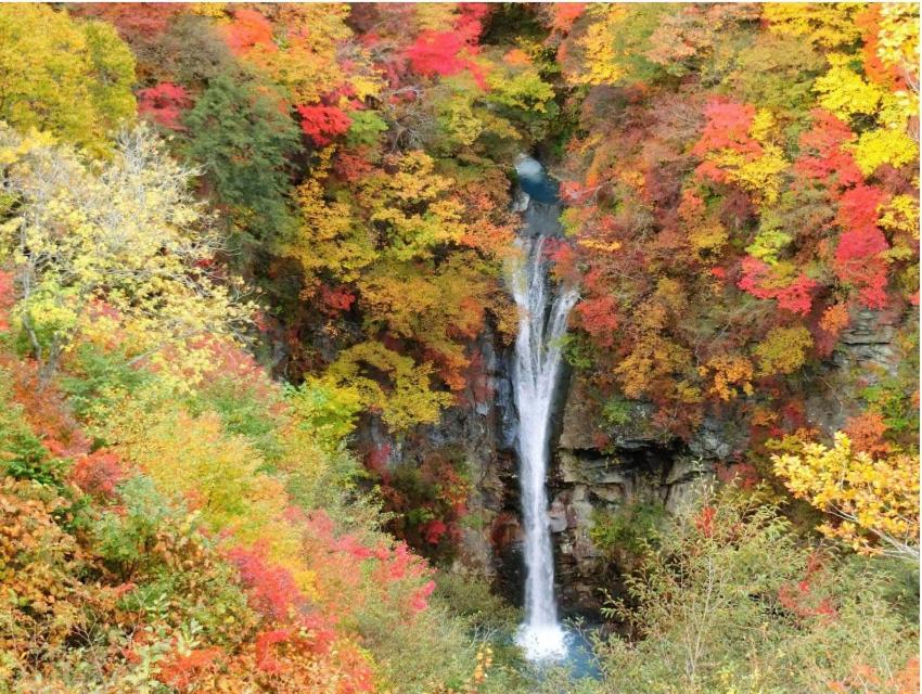 ヴィンテージ那須 Villa Nasu Buitenkant foto